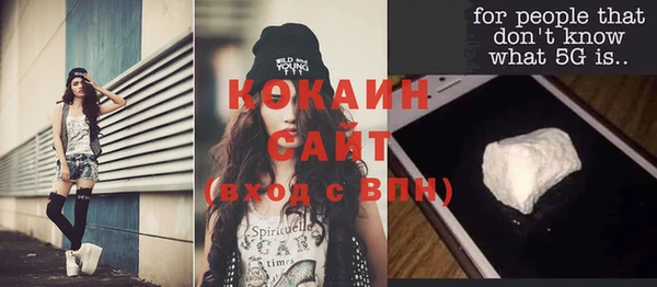 шишки Горнозаводск