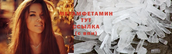 индика Горняк