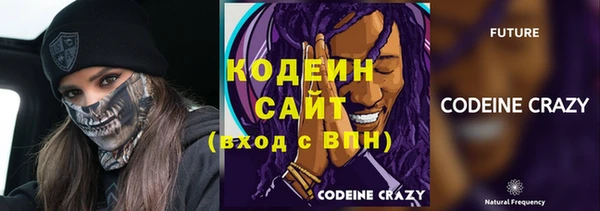 индика Горняк