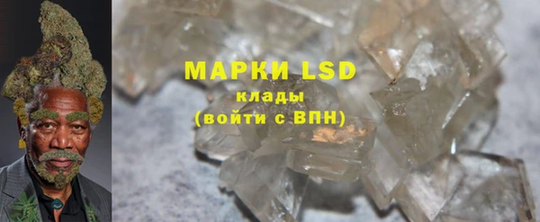 шишки Горнозаводск