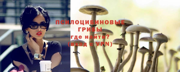 шишки Горнозаводск
