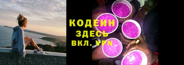 шишки Горнозаводск