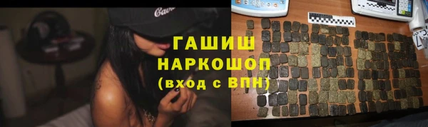 индика Горняк