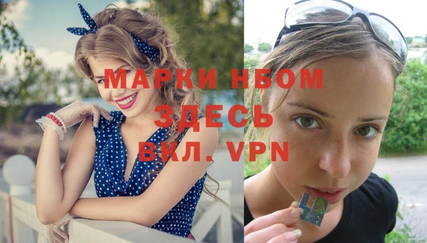 индика Горняк