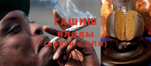 индика Горняк