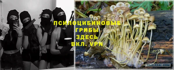 шишки Горнозаводск