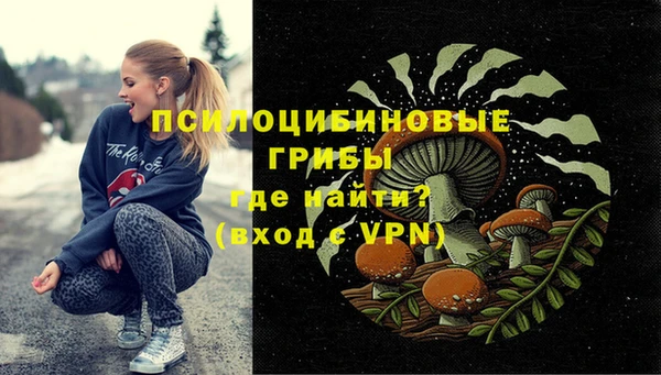 индика Горняк