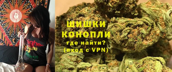 индика Горняк