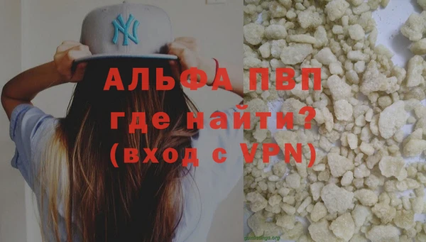 индика Горняк