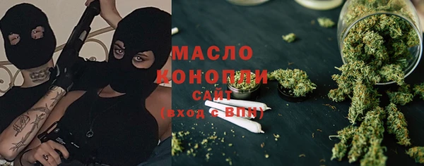 индика Горняк