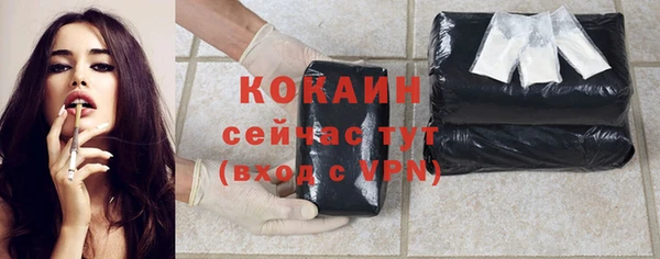 шишки Горнозаводск