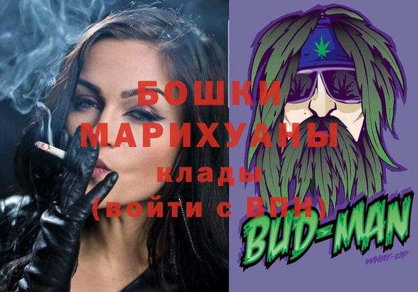 индика Горняк
